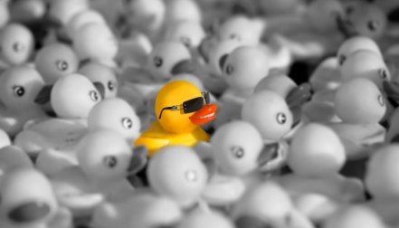 College_Admissions_How_to_stand_out_Dr_Paul_Lowe