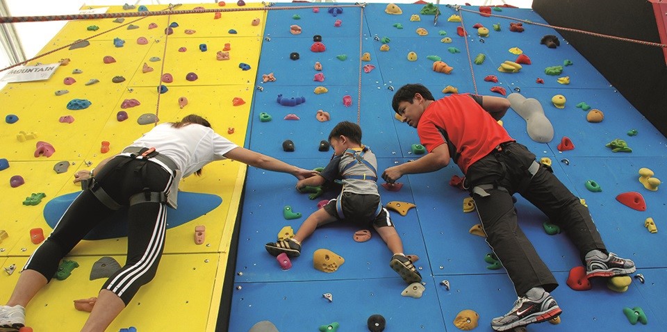 college_BS_MD_admissions_help_Dr_Paul_Lowe_Independent_Educational_Consultant